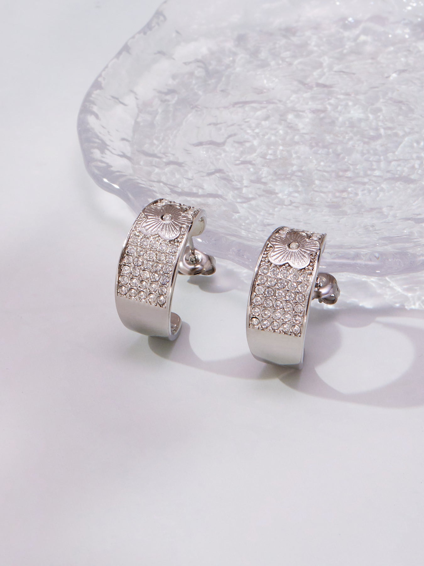 Graceflow Hoops Stainless Steel Zircon Earrings